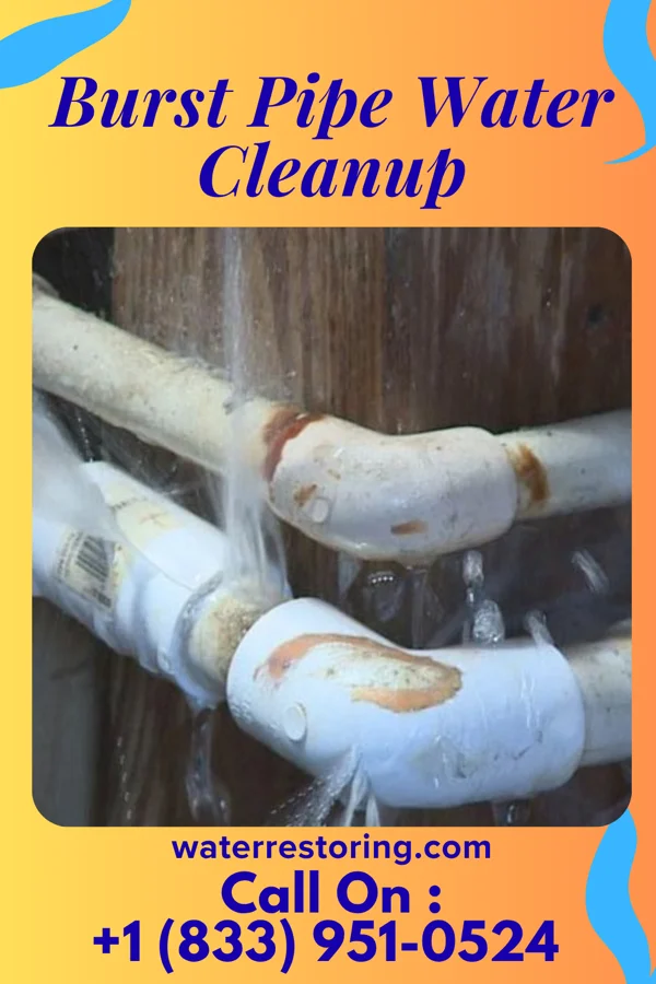 Burst Pipe Water Cleanup in San Pedro, TX