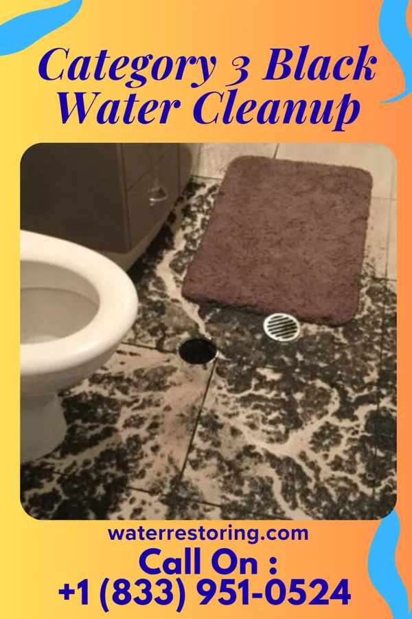 Category 3 Black Water Cleanup in San Pedro, TX