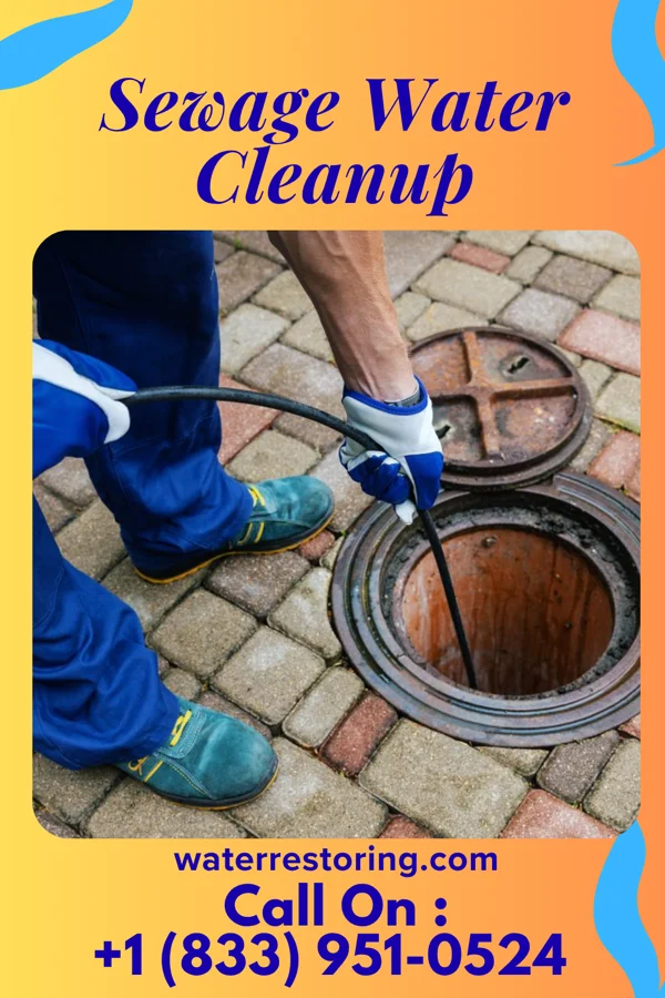 Sewage Water Cleanup in San Pedro, TX
